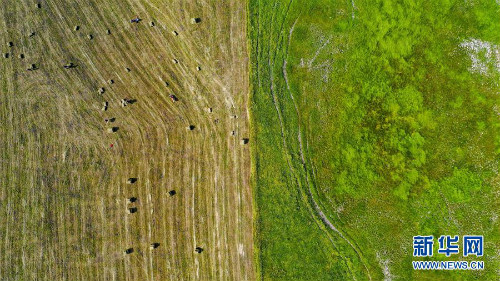 图片默认标题_fororder_1124876653_15657894164611n