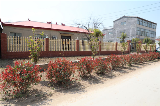 濮阳市台前县：干群同心齐上阵 人居环境展新颜_fororder_图片7