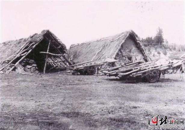 【大河之北·森林草原篇①】綠地重生