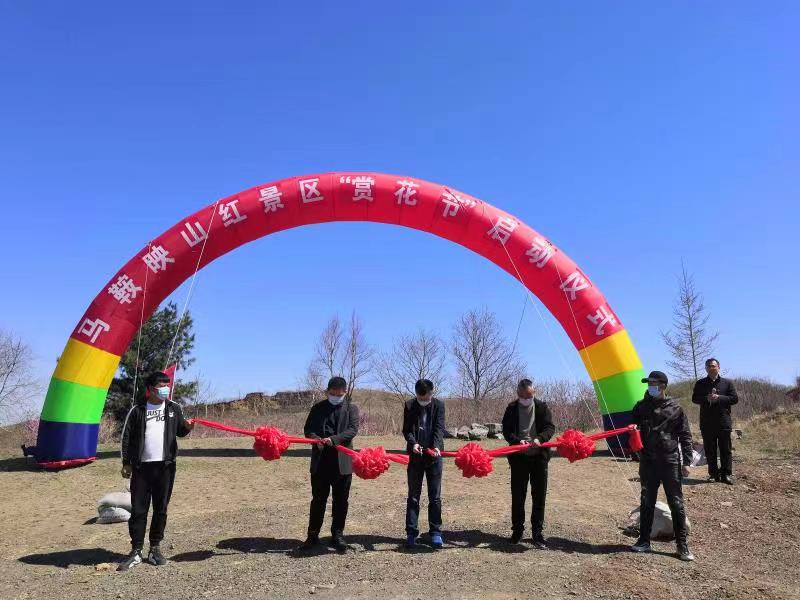 岭上开遍映山红