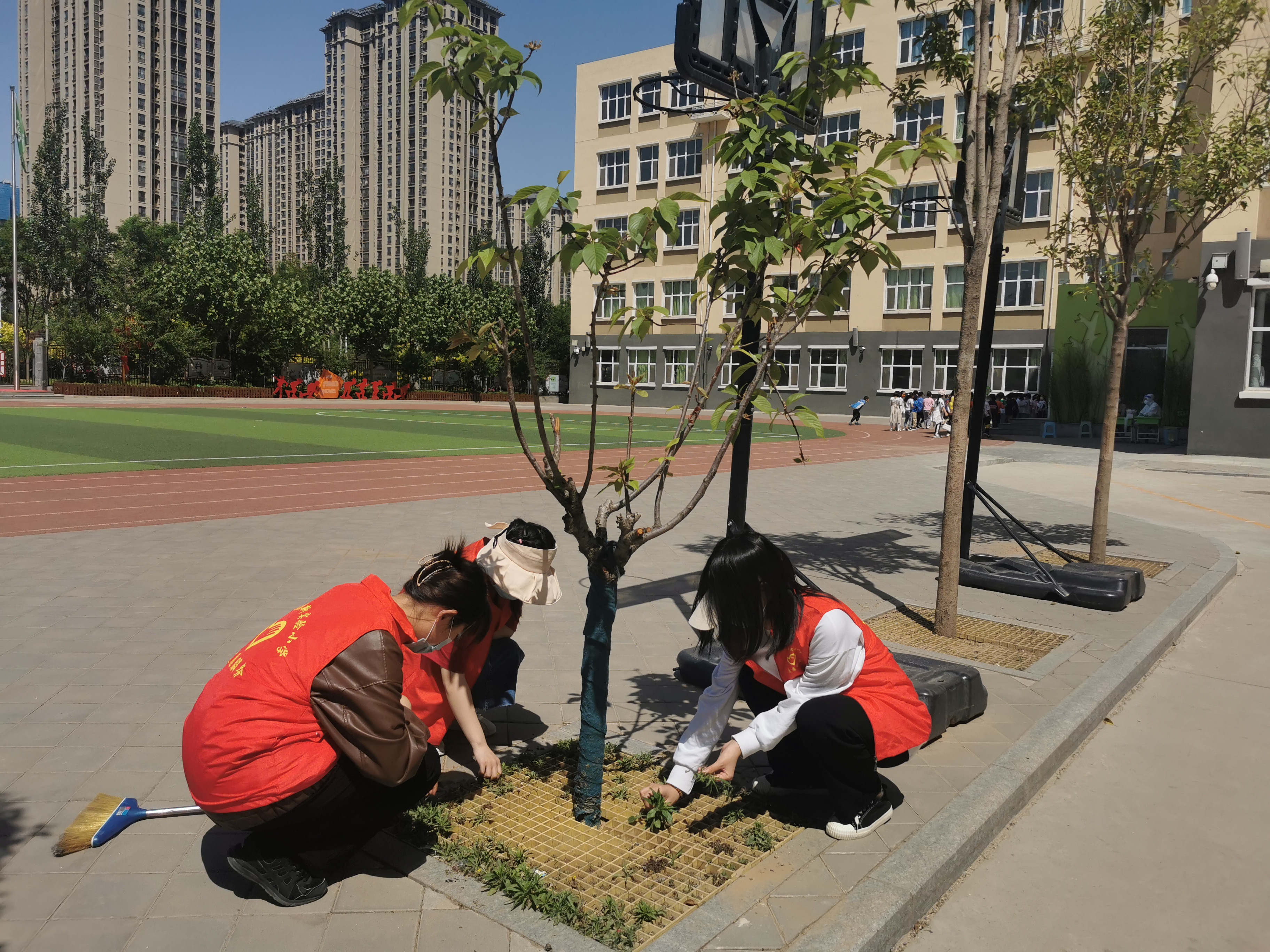 （原創）石家莊市育新實驗小學：青春河輕淌 夢乘風遠航_fororder_2136166a2426bb8089c18e01e8daf49