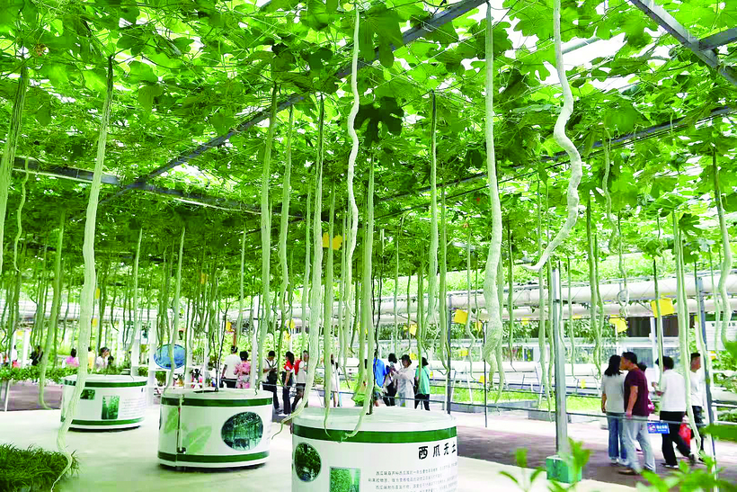 第十八屆長春農博會精彩綻放