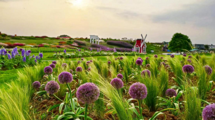 ​宝藏打卡地！成都空港花田发布五一家庭露营攻略