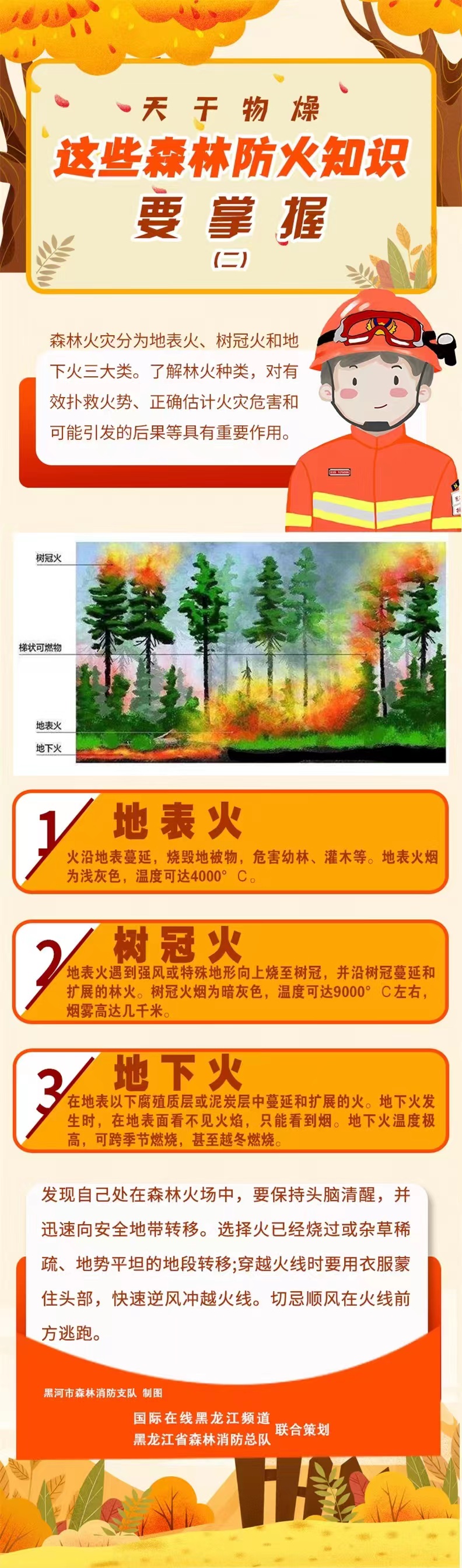 天干物燥！正确了解林火种类 这些知识要记牢_fororder_微信图片_20220417140020