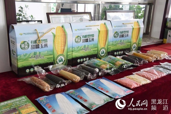 绥化：构建玉米全产业链格局 走出产业创新发展之路