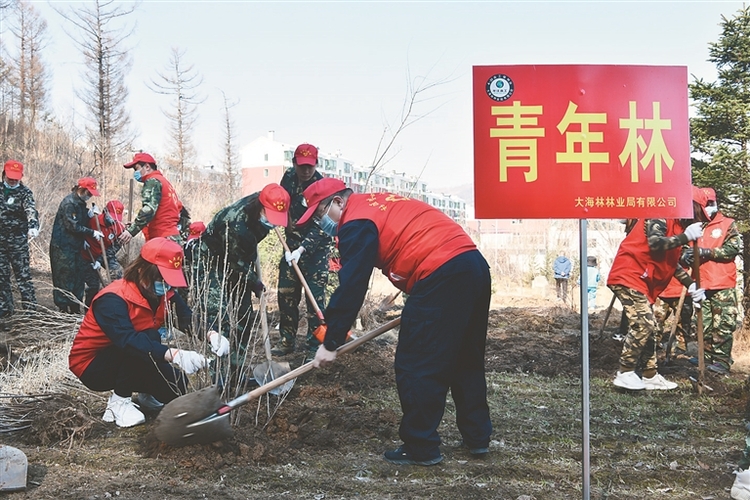 龙江森工集团：坚持绿色发展 打造生态森工