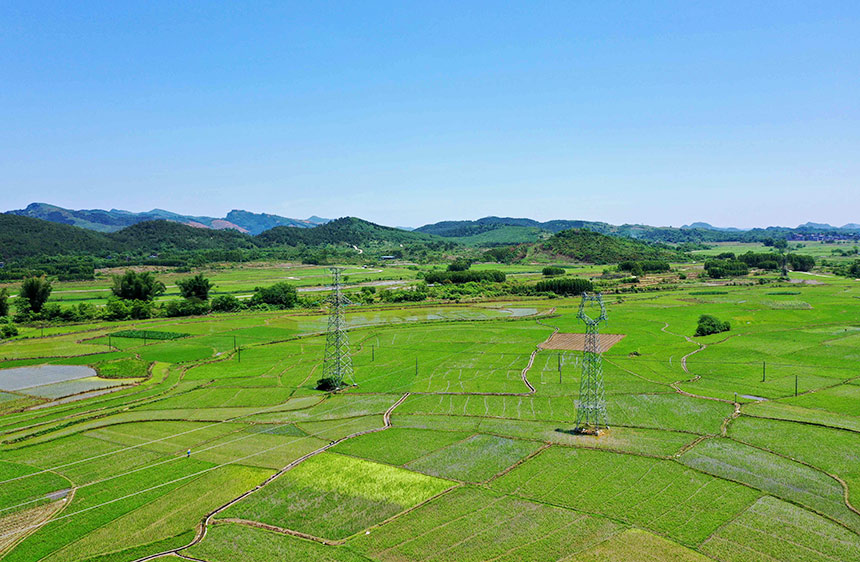 广西：立夏至 田园美