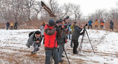 【生态吉林（图+标题+摘要）】   【白山松水（大图375*210）】  【魅力吉林1（206*300）】  近距离拍摄鹰捕食 场景太真实了