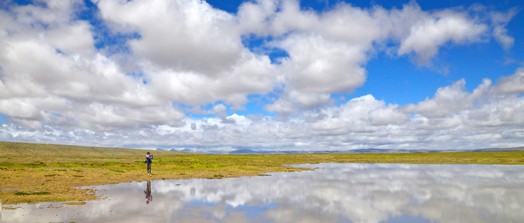 China's First Group of National Parks Built to Contribute to Global Ecological Protection_fororder_3