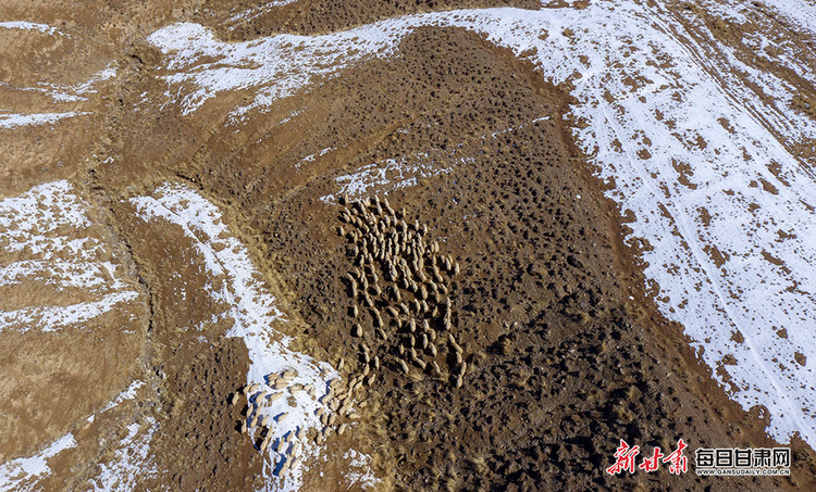 阿克塞五月降雪 祁連深處如一幅寫意長卷_fororder_雪山2