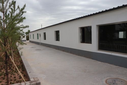 内蒙古伊金霍洛旗:自家生猪基地养 环境好来收入旺