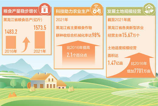 黑龙江省今年粮食作物计划播种面积2.185亿亩以上