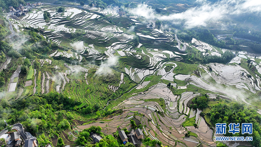 【“飞阅”中国】云雾与梯田相映成景 “大地的指纹”美如画
