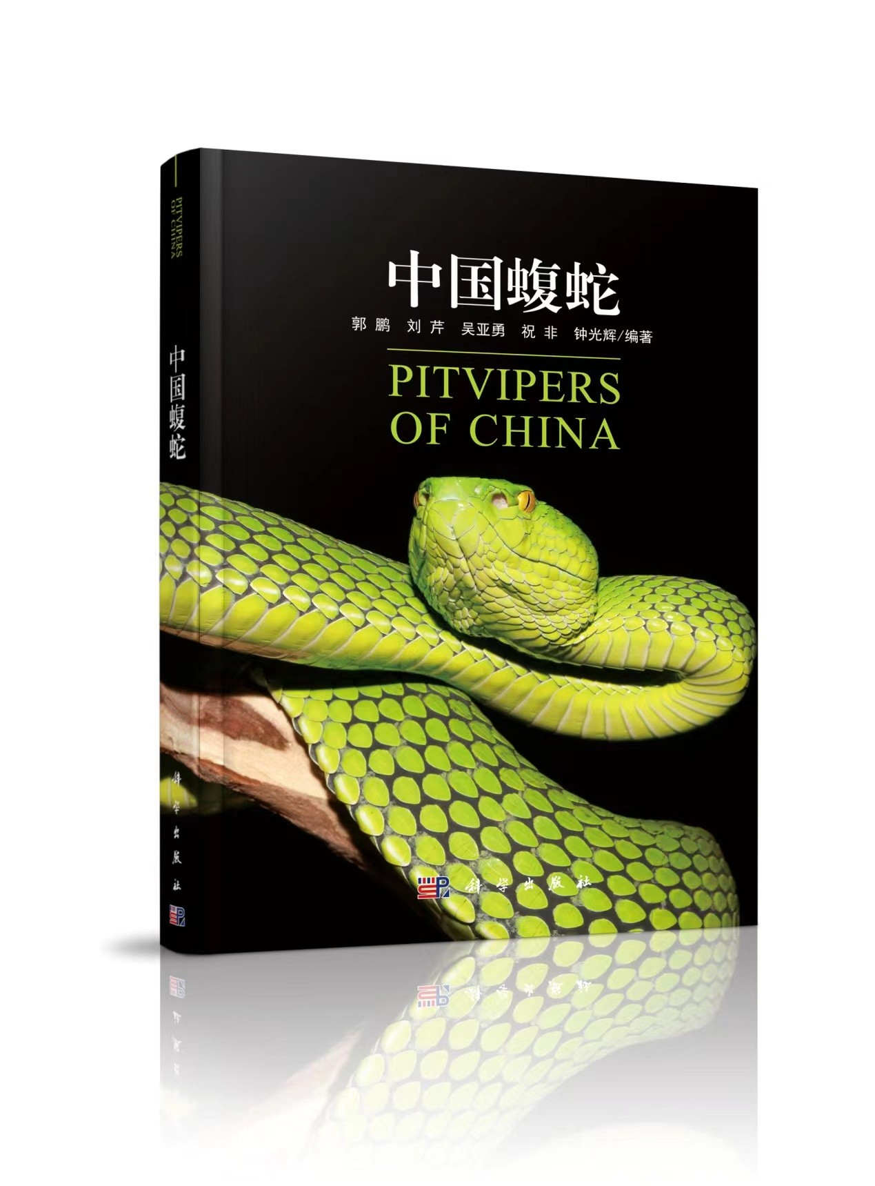 （转载）宜宾学院《中国蝮蛇》出版发行 蛇类生物多样性研究获新突破