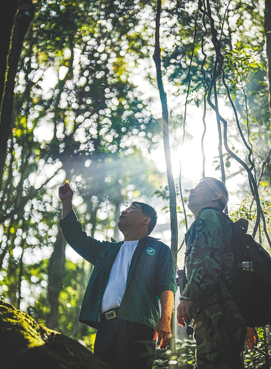 “猿”于青山_fororder_311