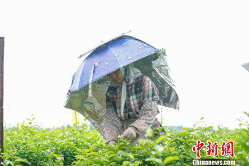 图片默认标题_fororder_103845850