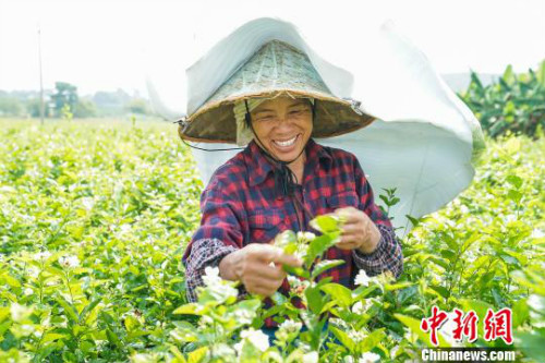 图片默认标题_fororder_103845900