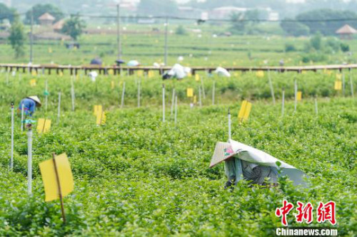 图片默认标题_fororder_103845910