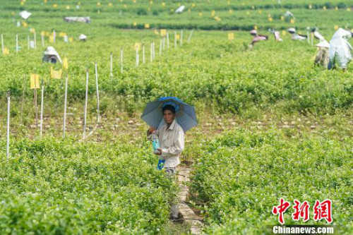 图片默认标题_fororder_103845860