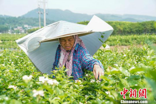 图片默认标题_fororder_103845880