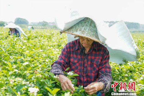 图片默认标题_fororder_103845890