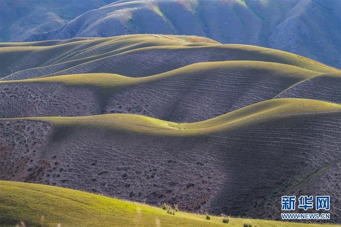 图片默认标题_fororder_CqgNOl1UusyAHBywAAAAAAAAAAA702.899x599