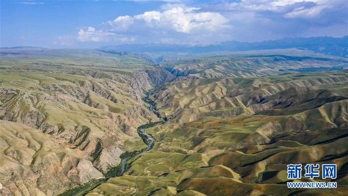 图片默认标题_fororder_CqgNOl1UusuAac03AAAAAAAAAAA407.900x506