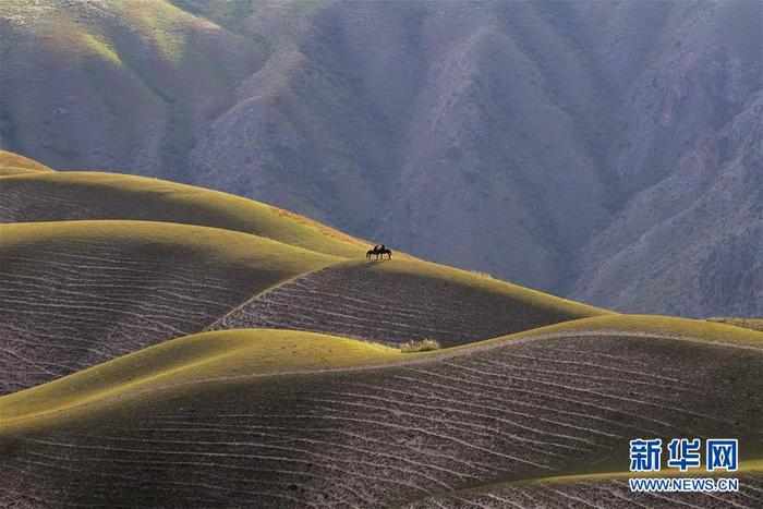 图片默认标题_fororder_CqgNOl1UusuAPVj8AAAAAAAAAAA644.899x599