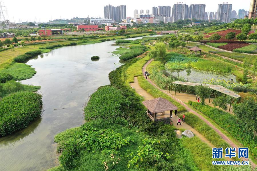 南宁那考河湿地公园：一条“臭水沟”的华丽转身