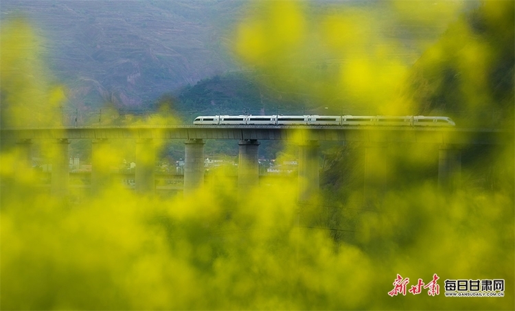 【焦点图】高铁穿过麦积区石佛镇马家山村成为一道独特风景