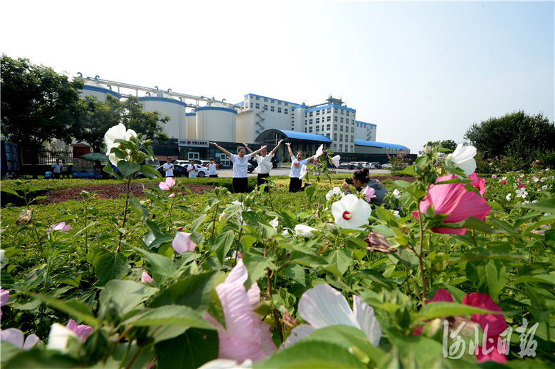 河北沙河：打好产业牌 做强工业游