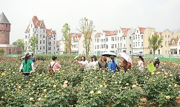 【创建天府旅游名县】四川德阳：到中国玫瑰谷国家玫瑰公园邂逅一场与花的浪漫之约_fororder_2