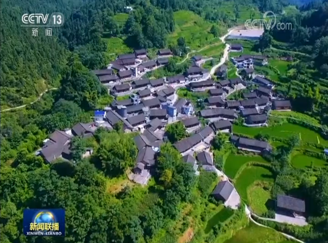 图片默认标题_fororder_2