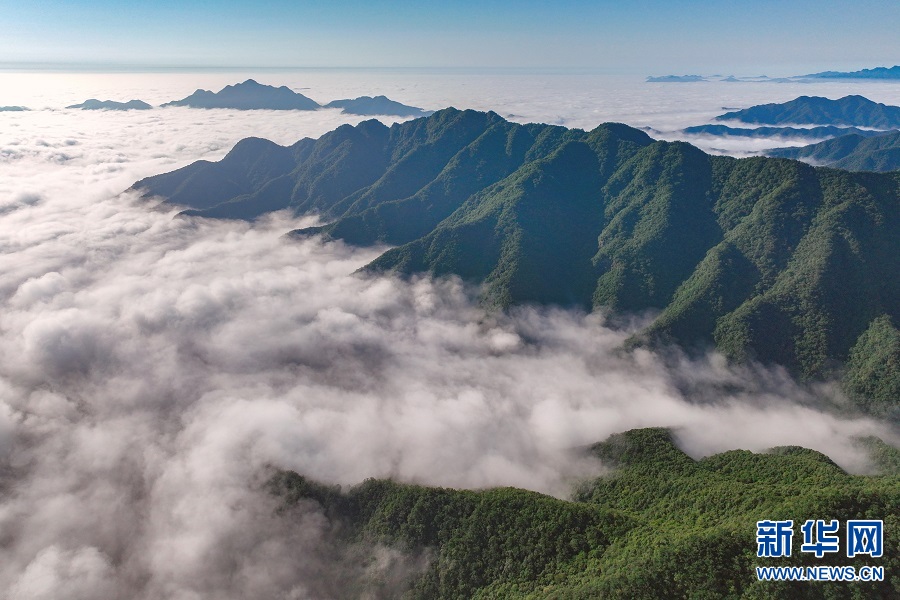 雨后云海美如画