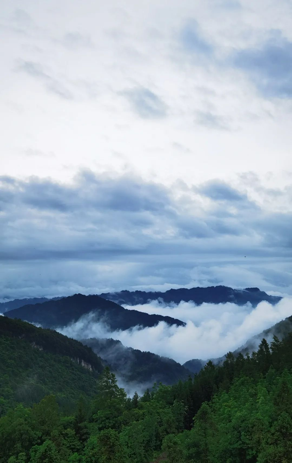 【原創】重慶武隆：2022年度“這就是仙女山”十美評選之新晉網紅打卡地全網徵集活動開始啦~_fororder_圖片2