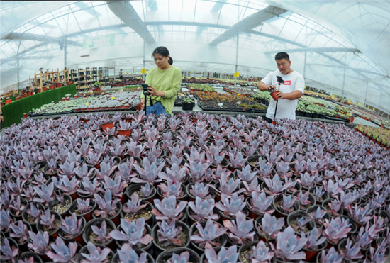 (有修改)(B 旅遊列表 三吳大地宿遷 移動版)“我眼中的全面小康”大型全媒體系列采風活動在宿城舉行