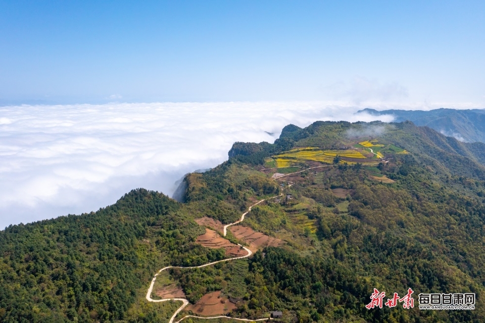 千山萬壑雲海翻滾 成縣雞峰如夢如幻