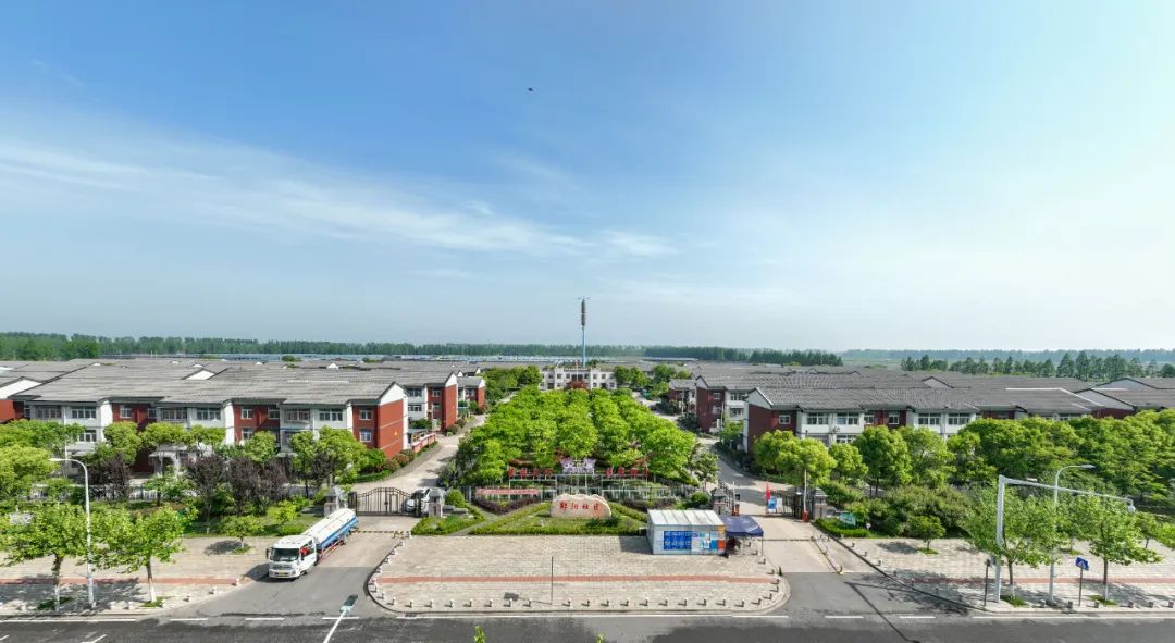 南水北调移民村 “乡愁”长成红樱桃