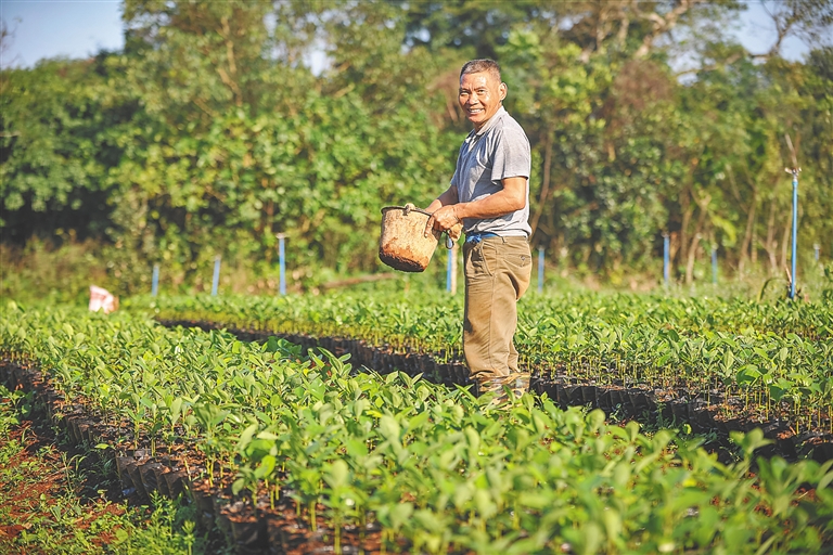 【民生】【即时快讯】迎阳光 干农活