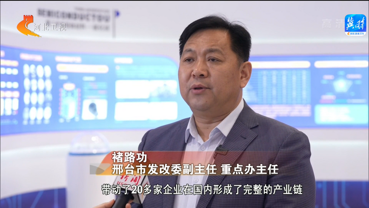 河北邢台：小晶片打开大市场 推动产业提档升级