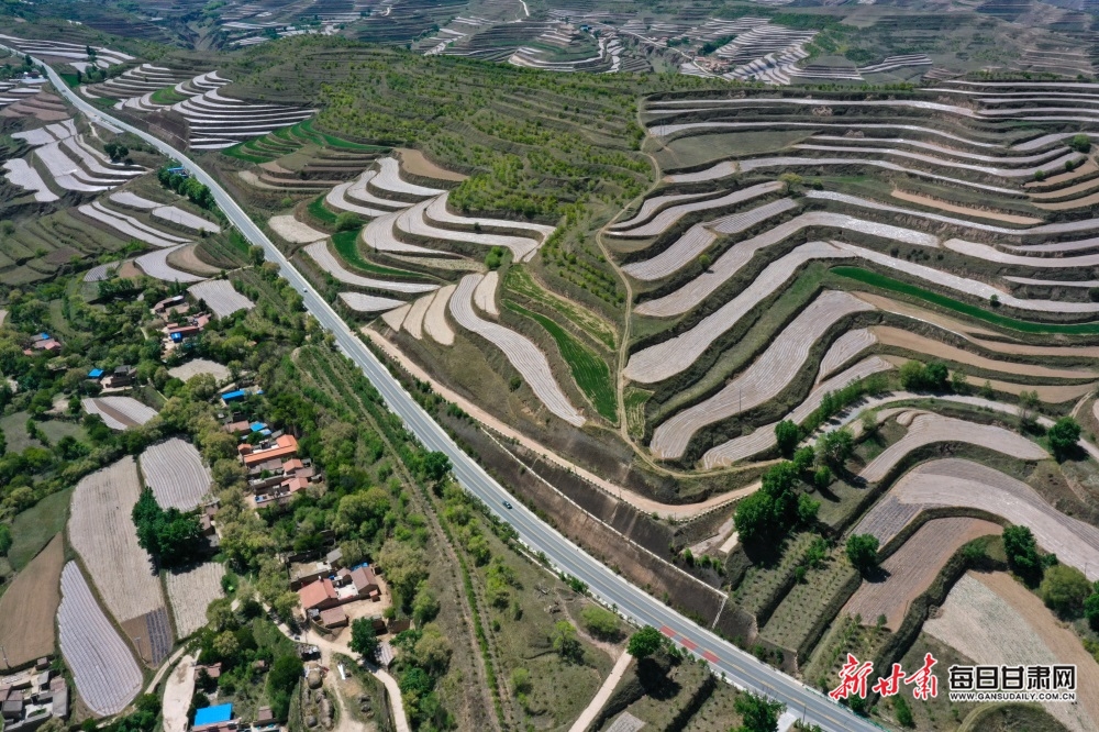 【县域】会宁县：植树增绿山川美 生态美景入画来_fororder_会宁3