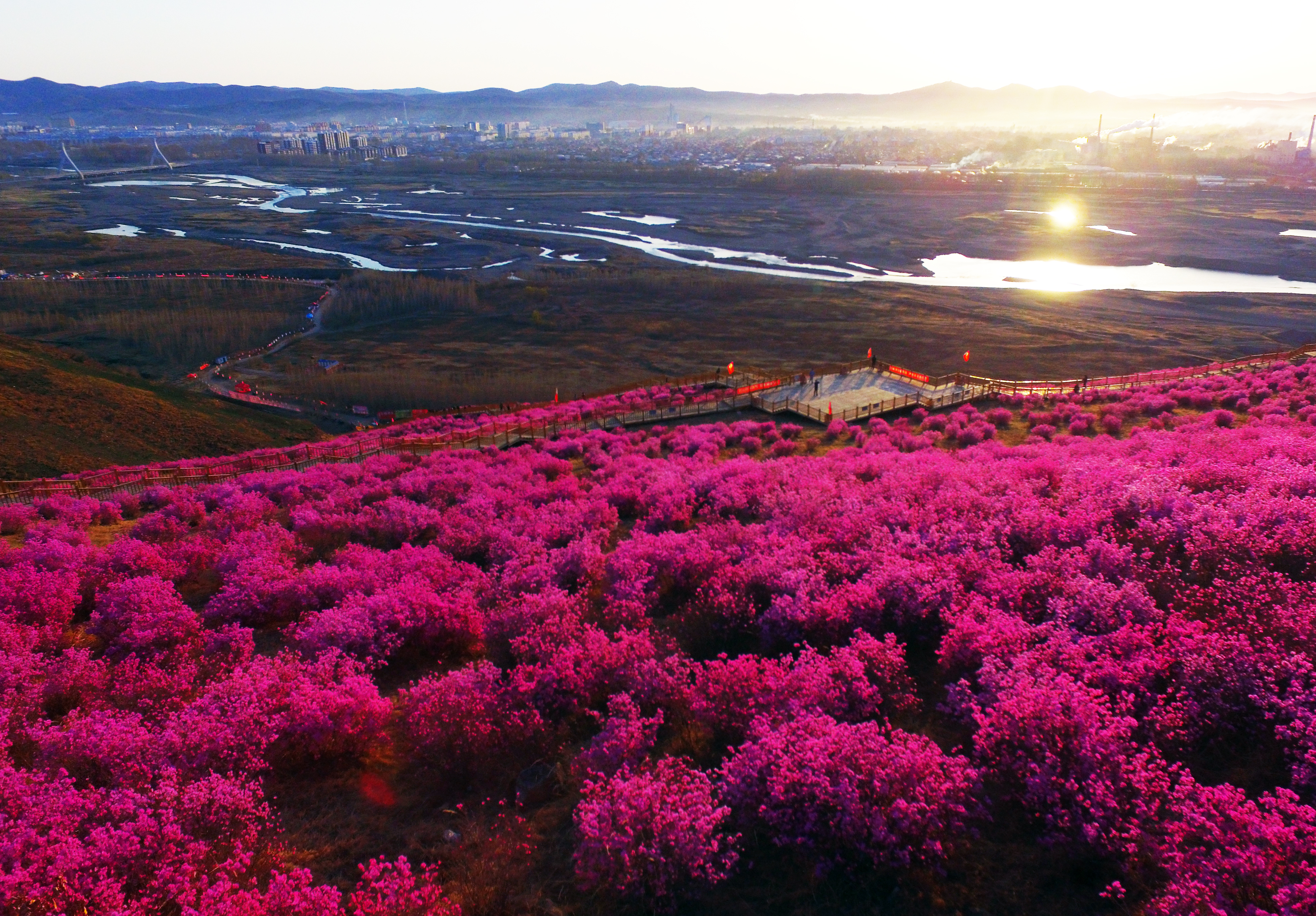 天空之眼遊扎蘭_fororder_DJI_0004