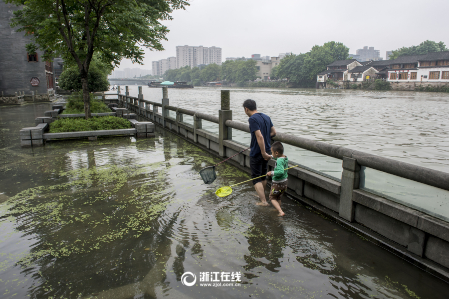 杭州运河水位上涨游步道被淹 市民路面捞鱼