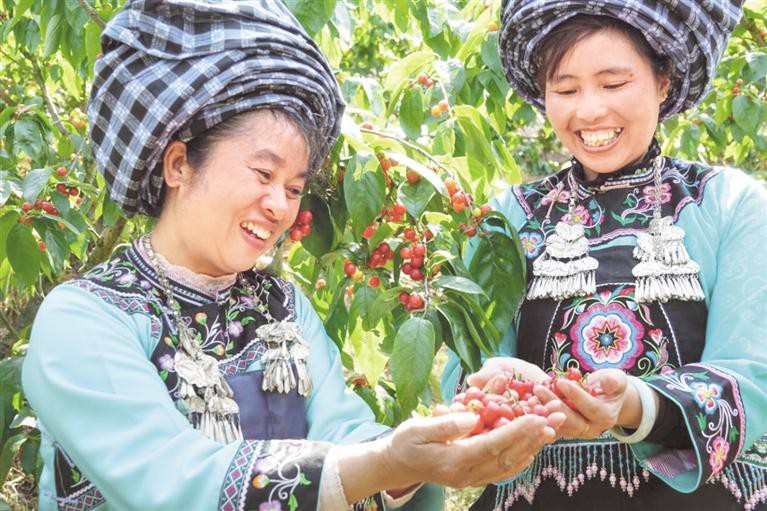 （中首）瀑乡安顺：沃野阡陌间 生态美家园_fororder_f0b962bb-a17e-47e4-989d-31bddedb956f