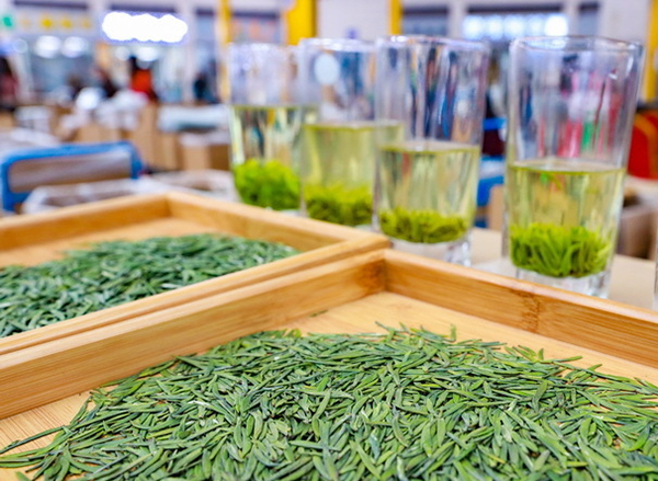 四个方面展魅力、八大措施促消费——“来雅‘森’呼吸·避暑纳清凉”主题活动在雅安市雨城区蒙顶山景区启动_fororder_蒙顶山春茶-供图-雅安市委宣传部