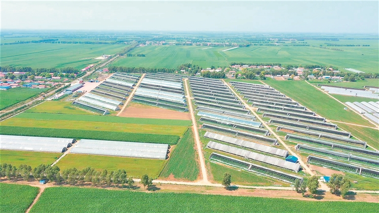 齊齊哈爾梅裏斯達斡爾族區:勇擔時代使命 擘畫振興藍圖