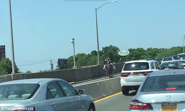 美国一“牛仔”骑马过大桥引发交通堵塞(图)