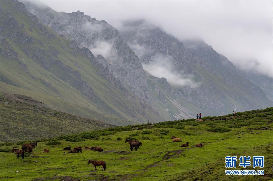 新疆：烟雨独库