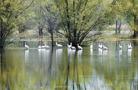 野鸭湖自然保护区联合执法守护湿地生态“红线”