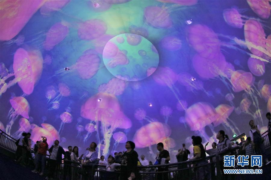 与电影重逢——重温生活中的电影时刻